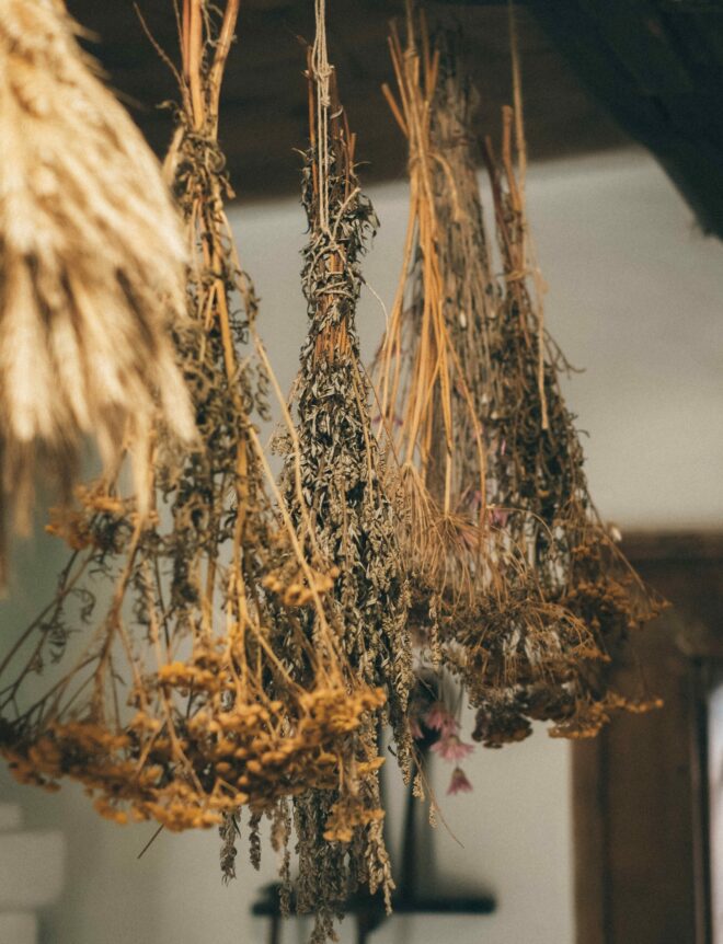 dried herbs hanging from the ceiling