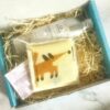 Children's Castor Oil Pack Kit (contains aluminium bottle of oil, instructions, fox protector on top of flannel all in turquoise box on marble background.)